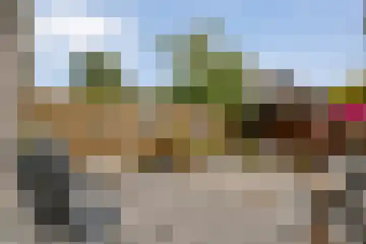 Van Hemertmarke 16 Zwolle thumbnail 31