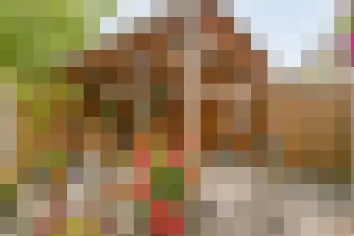 Van Hemertmarke 16 Zwolle thumbnail 32