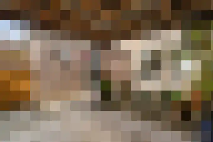 Van Hemertmarke 16 Zwolle thumbnail 34