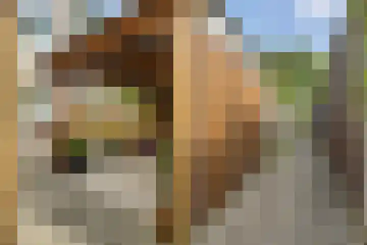 Van Hemertmarke 16 Zwolle thumbnail 38
