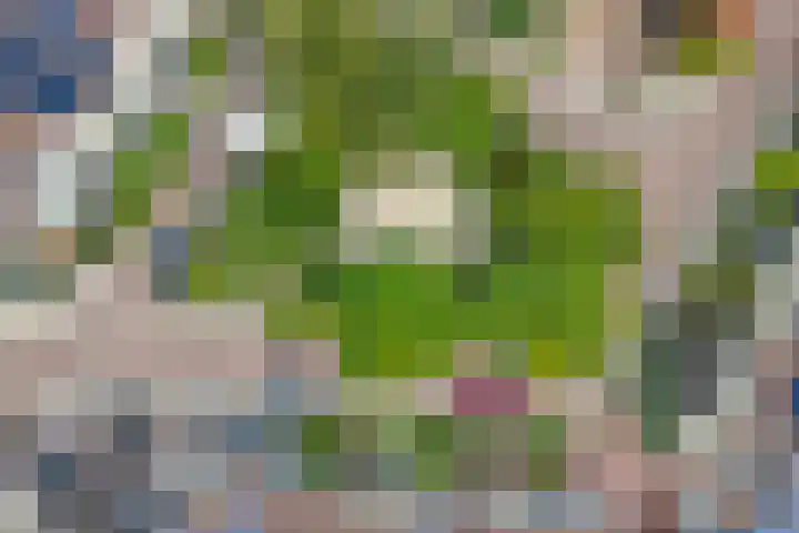 Van Hemertmarke 16 Zwolle thumbnail 39