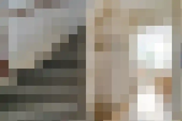 Van Hemertmarke 16 Zwolle thumbnail 4