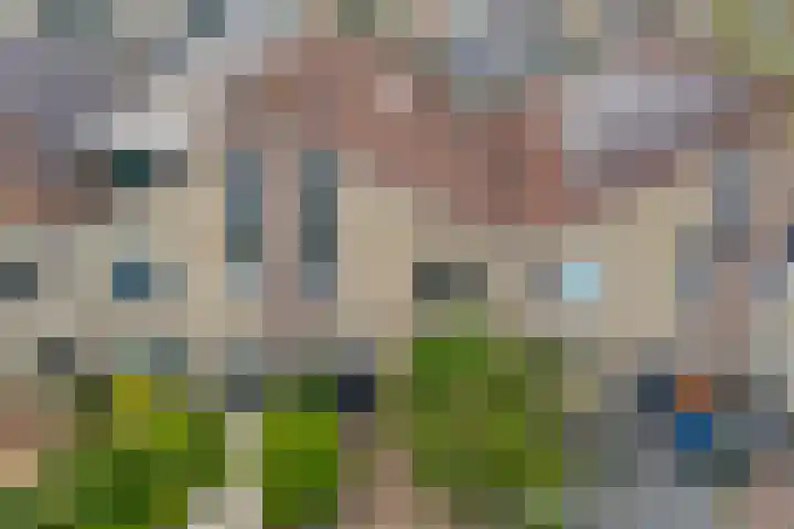 Van Hemertmarke 16 Zwolle thumbnail 40