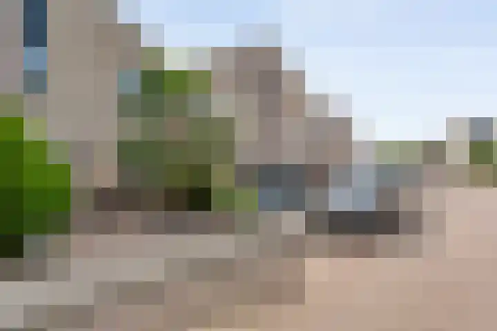 Van Hemertmarke 16 Zwolle thumbnail 41