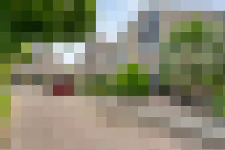 Van Hemertmarke 16 Zwolle thumbnail 42
