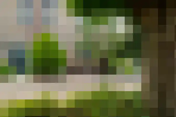 Van Hemertmarke 16 Zwolle thumbnail 43