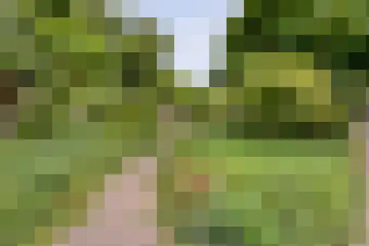 Van Hemertmarke 16 Zwolle thumbnail 45