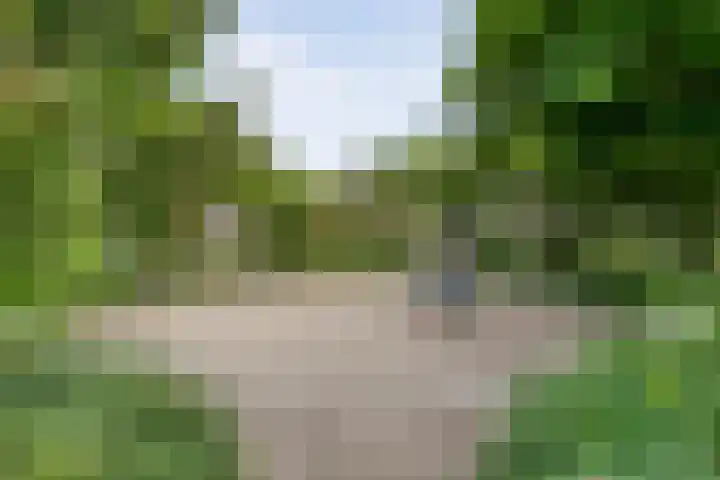 Van Hemertmarke 16 Zwolle thumbnail 46