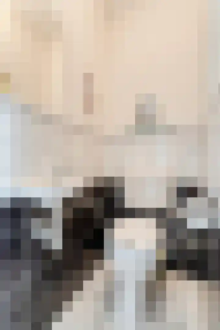 Van Hemertmarke 16 Zwolle thumbnail 5