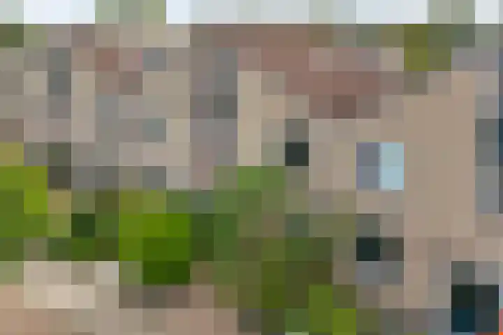 Van Hemertmarke 16 Zwolle thumbnail 52