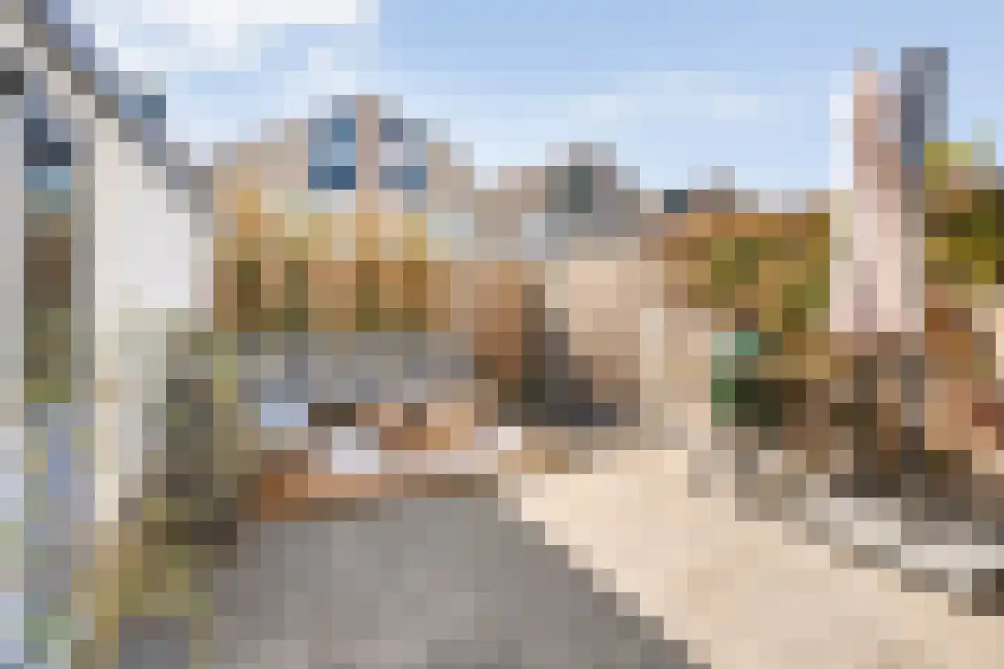 Van Hemertmarke 30 Zwolle thumbnail 31