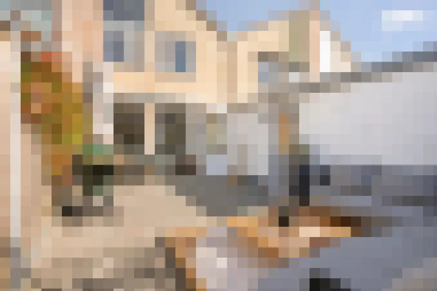 Van Hemertmarke 30 Zwolle thumbnail 33