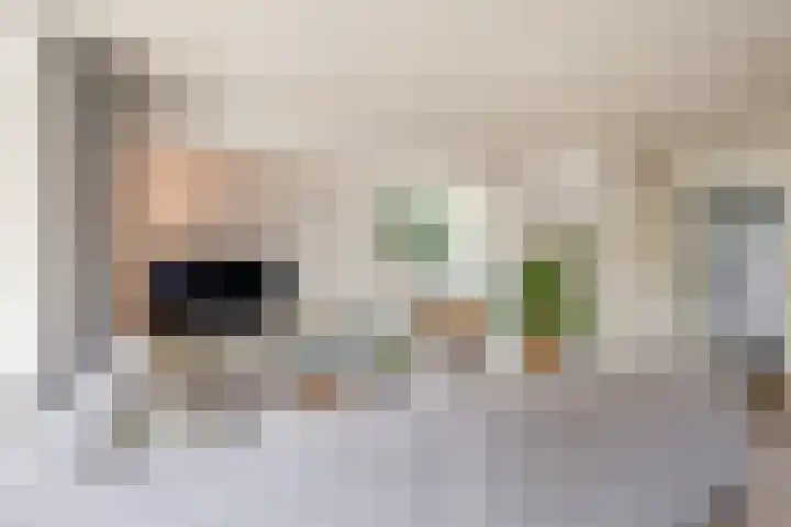 Van Hemertmarke 49 Zwolle thumbnail 13