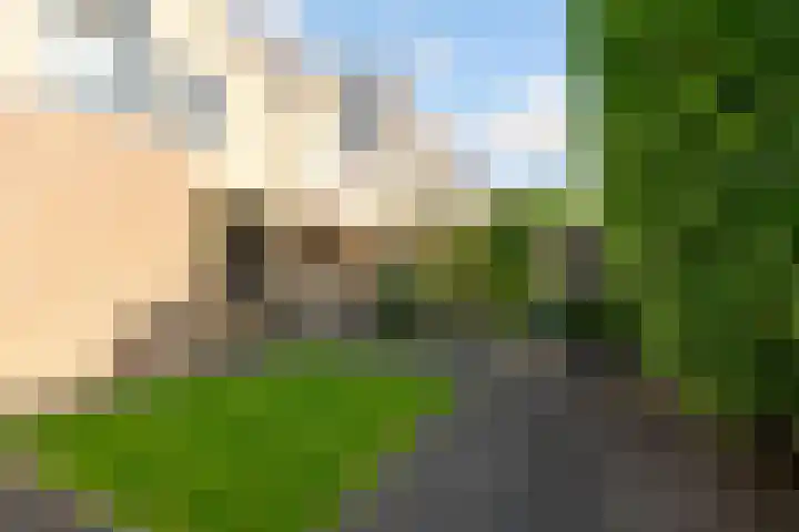 Van Hemertmarke 49 Zwolle thumbnail 41