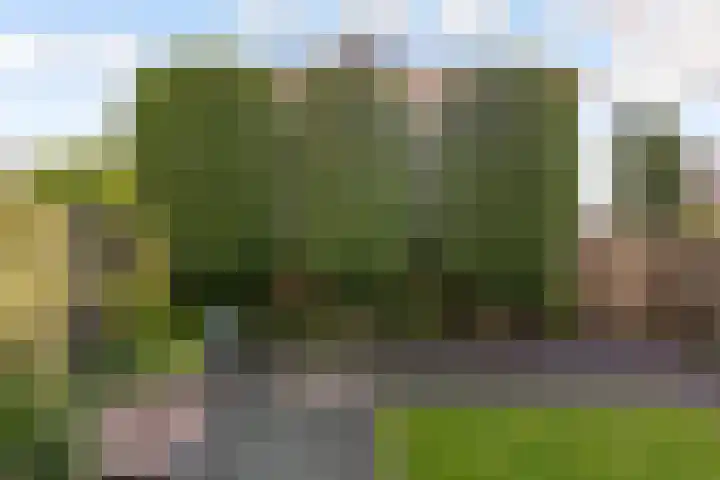 Van Hemertmarke 49 Zwolle thumbnail 44