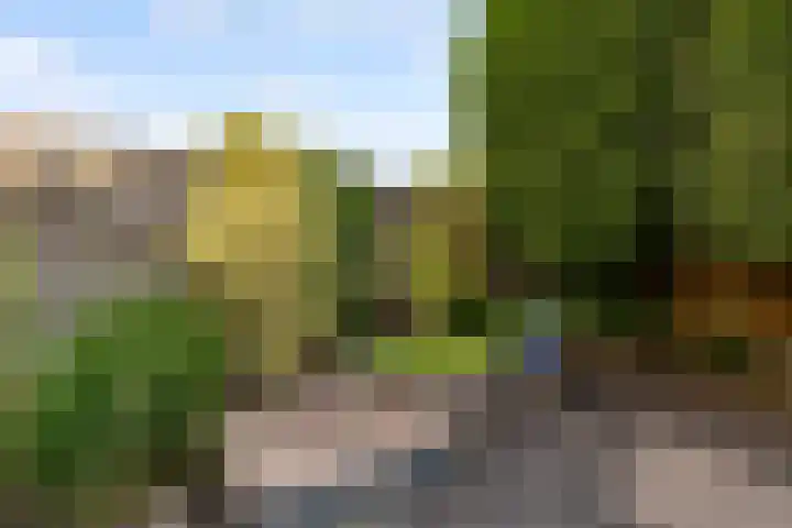 Van Hemertmarke 49 Zwolle thumbnail 45