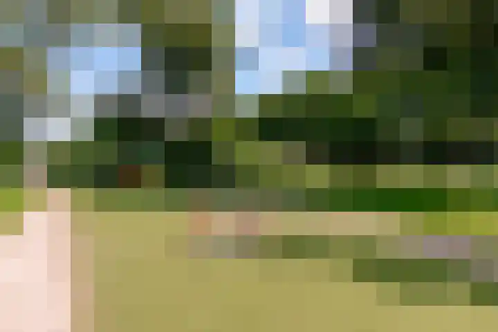 Van Hemertmarke 49 Zwolle thumbnail 48