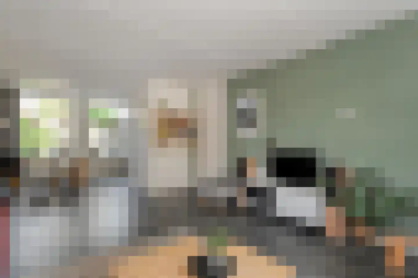 Van Hemertmarke 5 Zwolle thumbnail 12