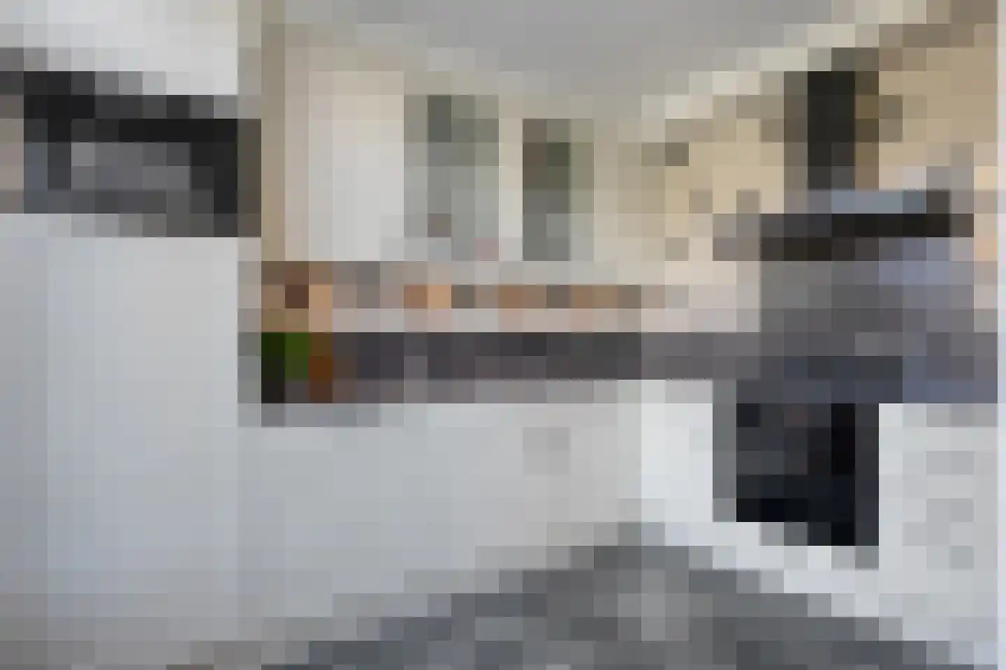 Van Hemertmarke 5 Zwolle thumbnail 15