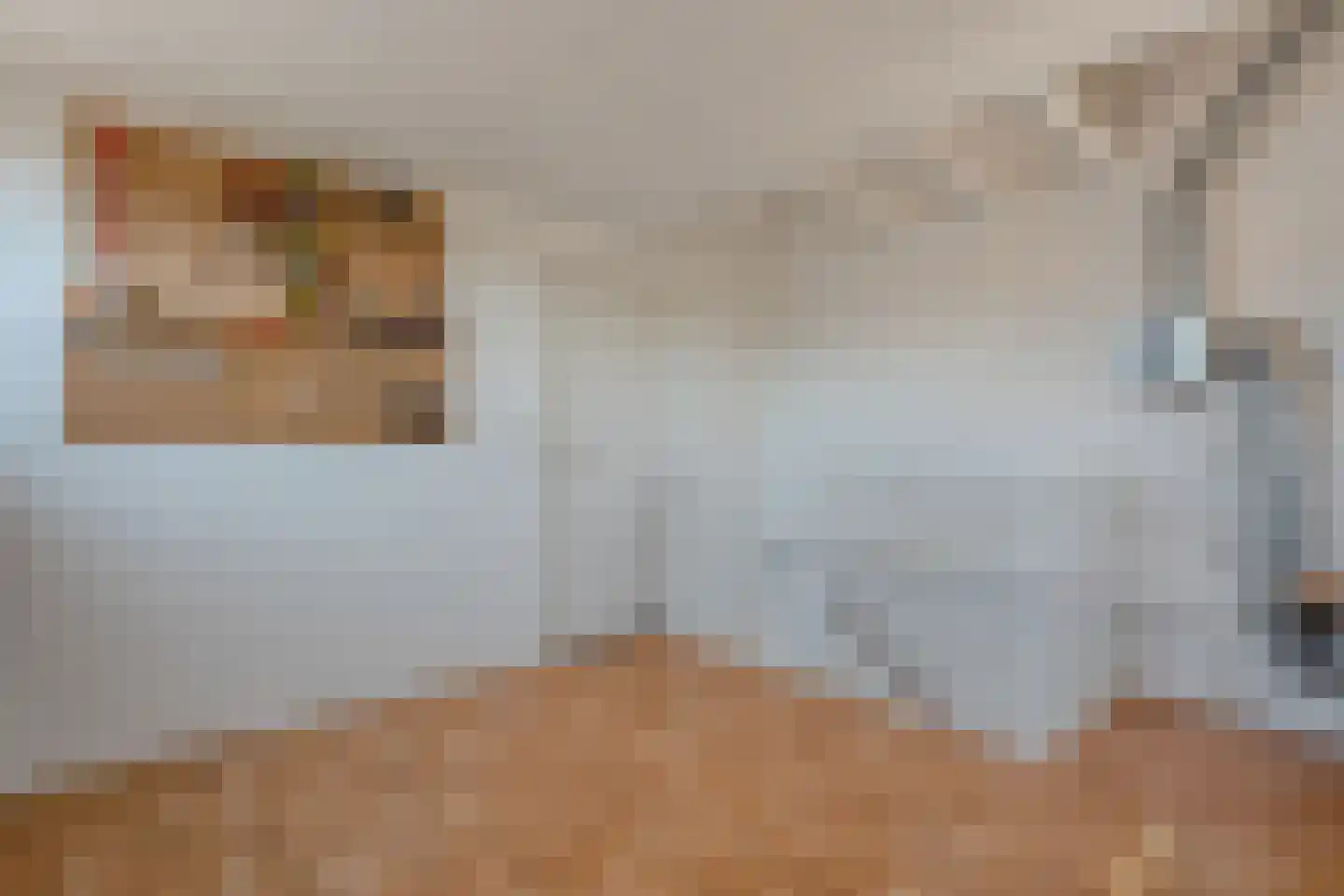 Van Hemertmarke 5 Zwolle thumbnail 30
