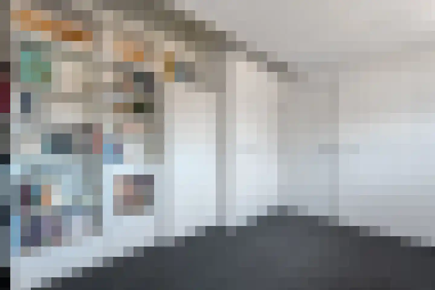 Van Hemertmarke 5 Zwolle thumbnail 34