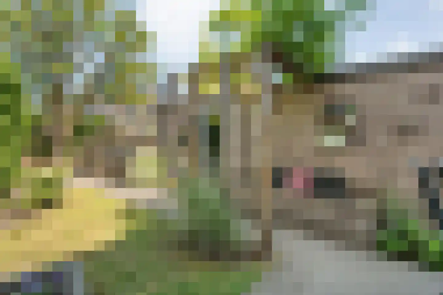 Van Hemertmarke 5 Zwolle thumbnail 38