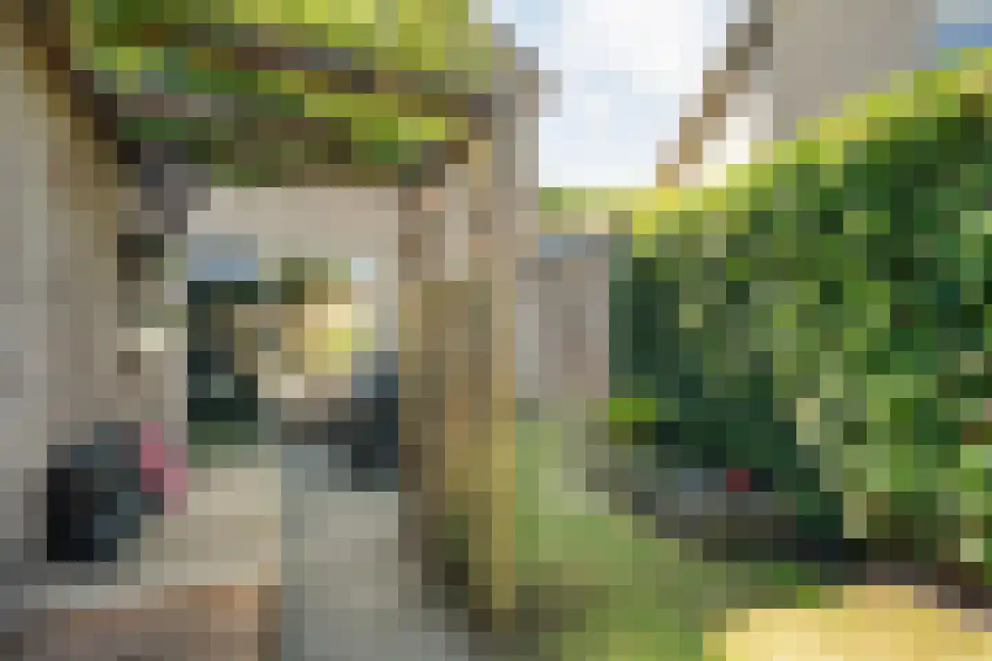 Van Hemertmarke 5 Zwolle thumbnail 41