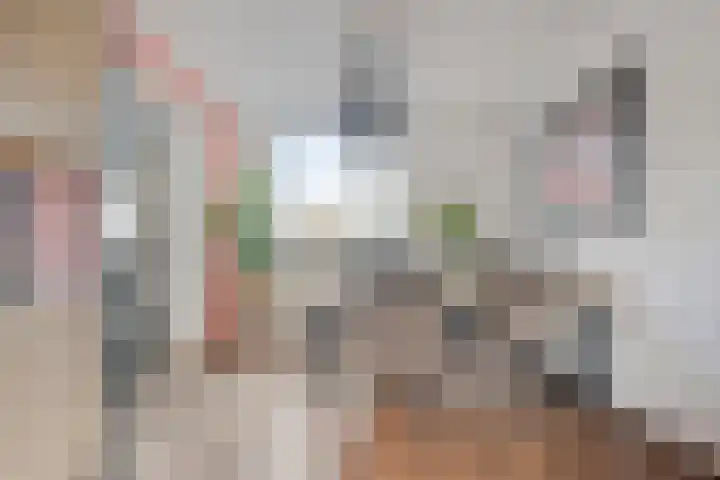 Van Hemertmarke 72 Zwolle thumbnail 10