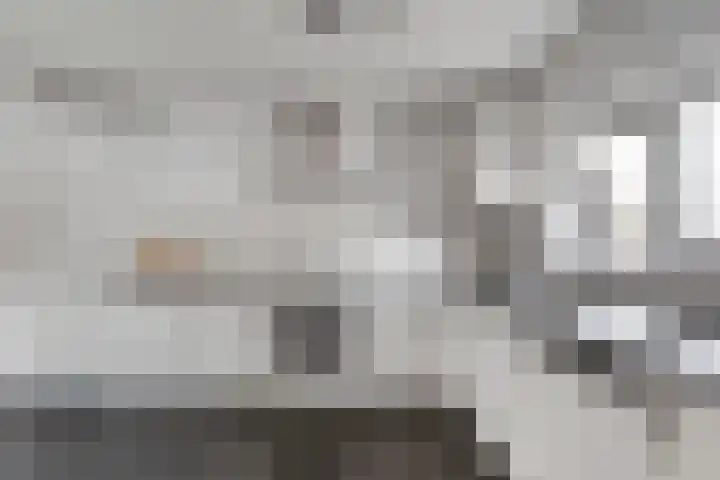 Van Hemertmarke 72 Zwolle thumbnail 11