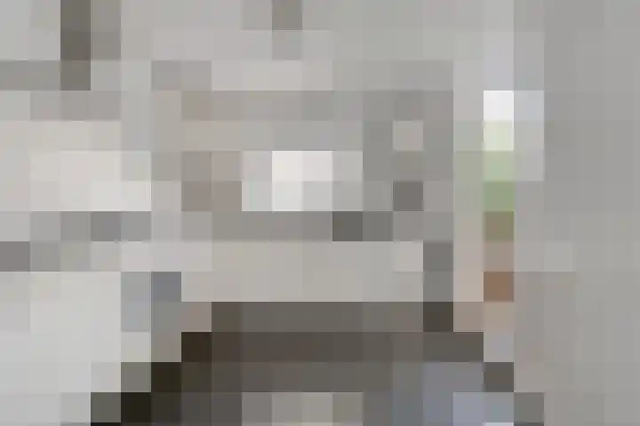 Van Hemertmarke 72 Zwolle thumbnail 13