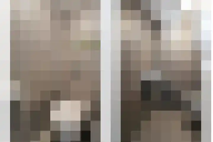 Van Hemertmarke 72 Zwolle thumbnail 17