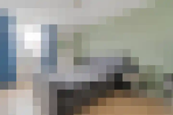 Van Hemertmarke 72 Zwolle thumbnail 20