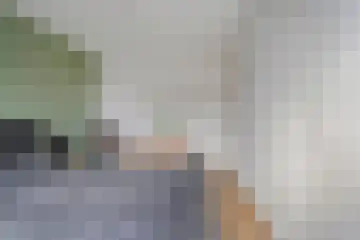 Van Hemertmarke 72 Zwolle thumbnail 21