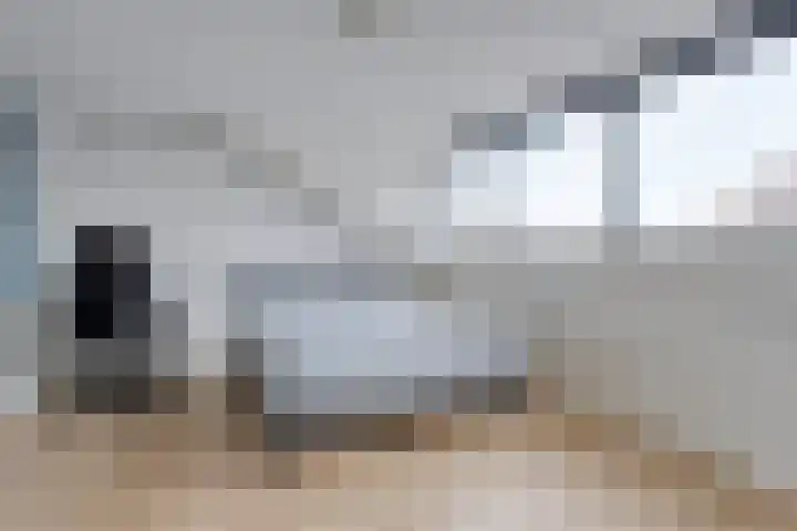 Van Hemertmarke 72 Zwolle thumbnail 30