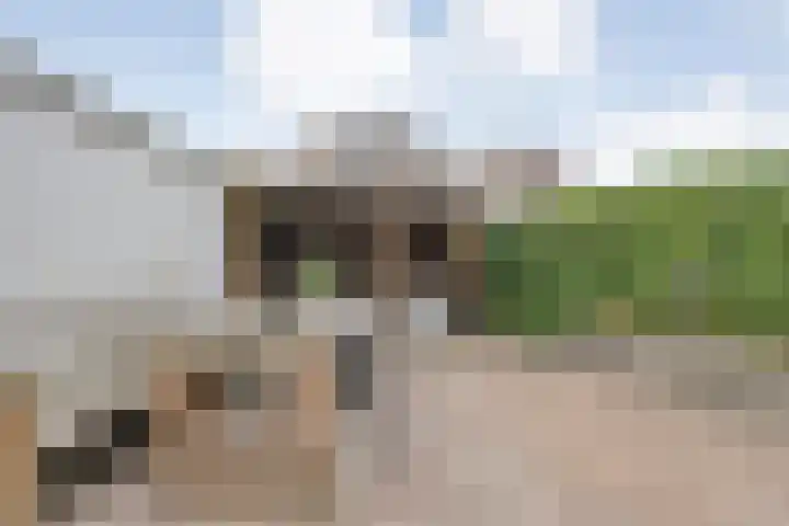 Van Hemertmarke 72 Zwolle thumbnail 33