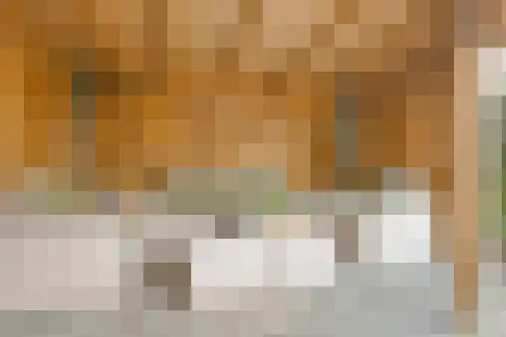 Van Hemertmarke 72 Zwolle thumbnail 34