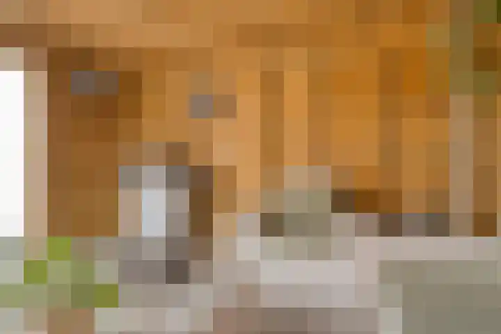 Van Hemertmarke 72 Zwolle thumbnail 35