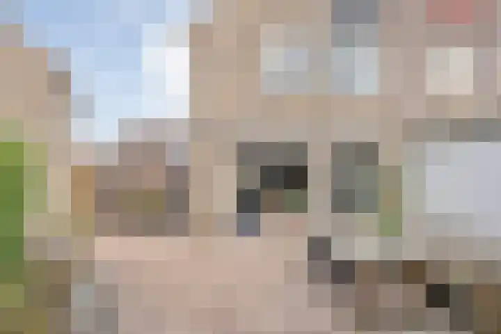 Van Hemertmarke 72 Zwolle thumbnail 36