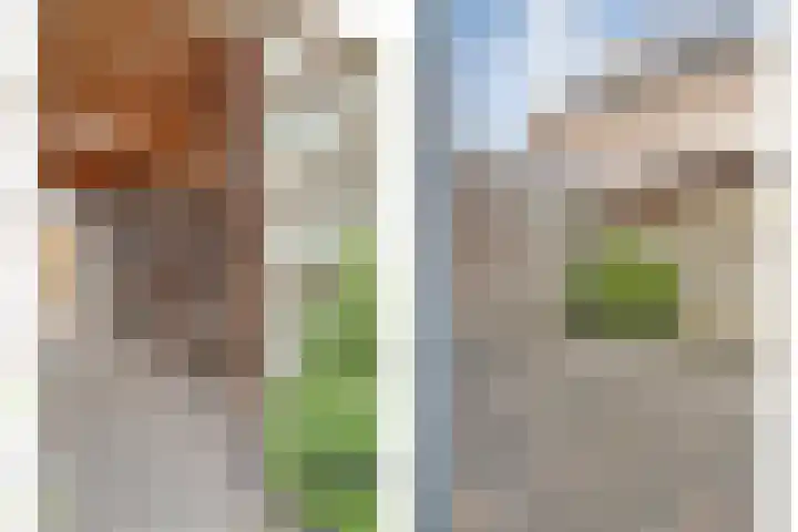 Van Hemertmarke 72 Zwolle thumbnail 38