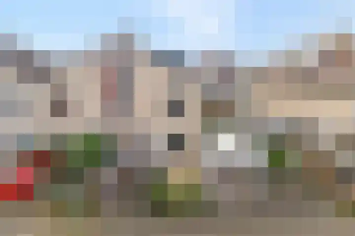Van Hemertmarke 72 Zwolle thumbnail 42
