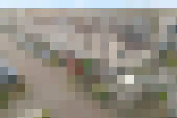 Van Hemertmarke 72 Zwolle thumbnail 43
