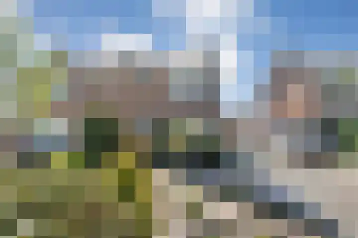 Van Hemertstraat 25 Balkbrug thumbnail 4
