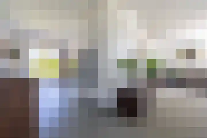 van Hemessenkade 51 Woubrugge thumbnail 10