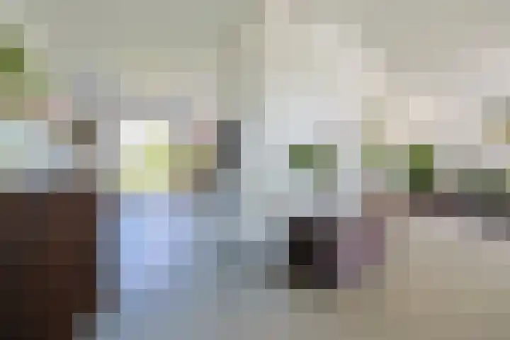 van Hemessenkade 51 Woubrugge thumbnail 13