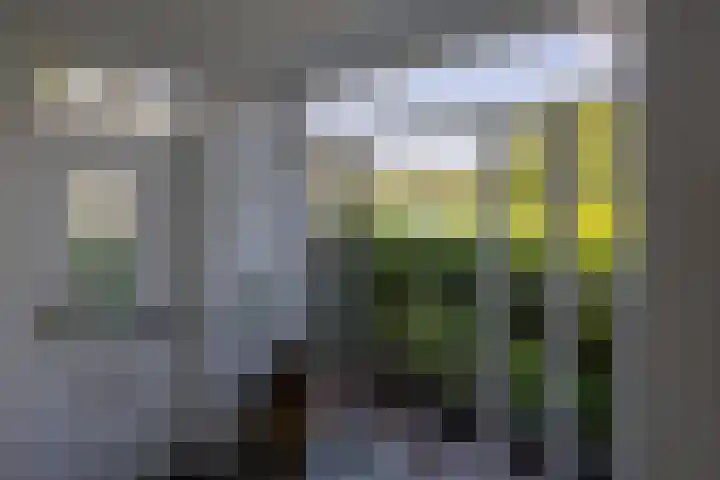 van Hemessenkade 51 Woubrugge thumbnail 18