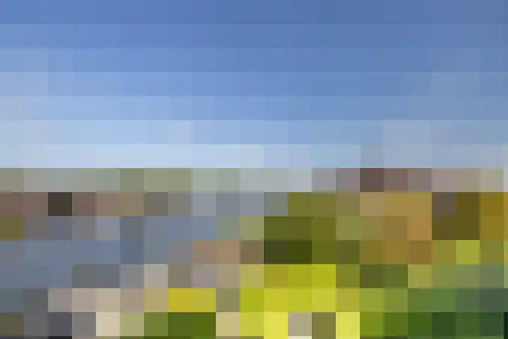 van Hemessenkade 51 Woubrugge thumbnail 25