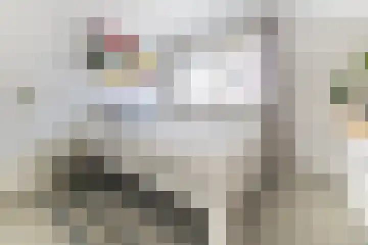 van Hemessenkade 51 Woubrugge thumbnail 29