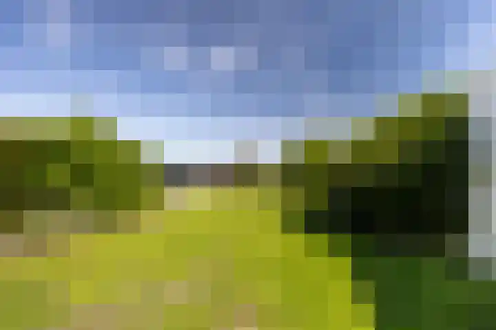 van Hemessenkade 51 Woubrugge thumbnail 31