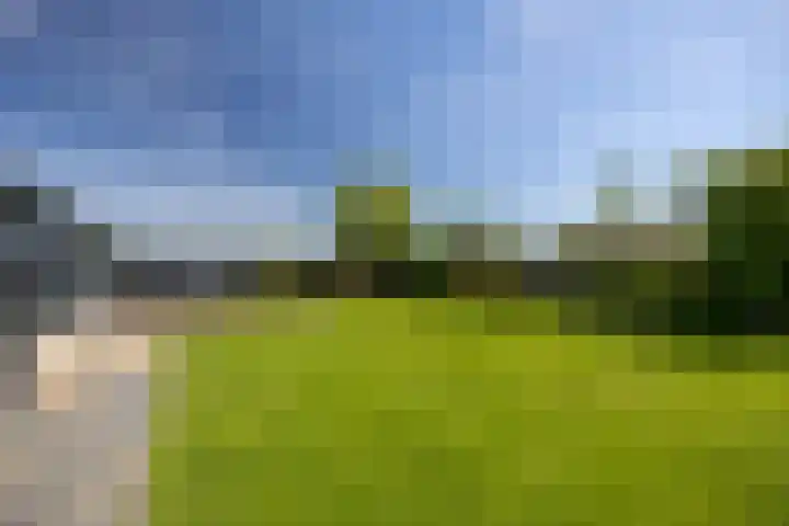 van Hemessenkade 51 Woubrugge thumbnail 32