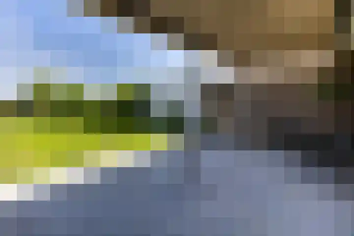 van Hemessenkade 51 Woubrugge thumbnail 33